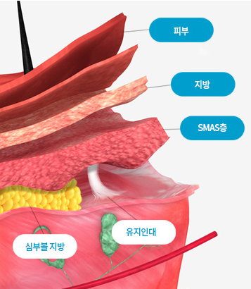 나이가 들수록 얼굴이 길어진다. 사실일까요? 관련 이미지 3