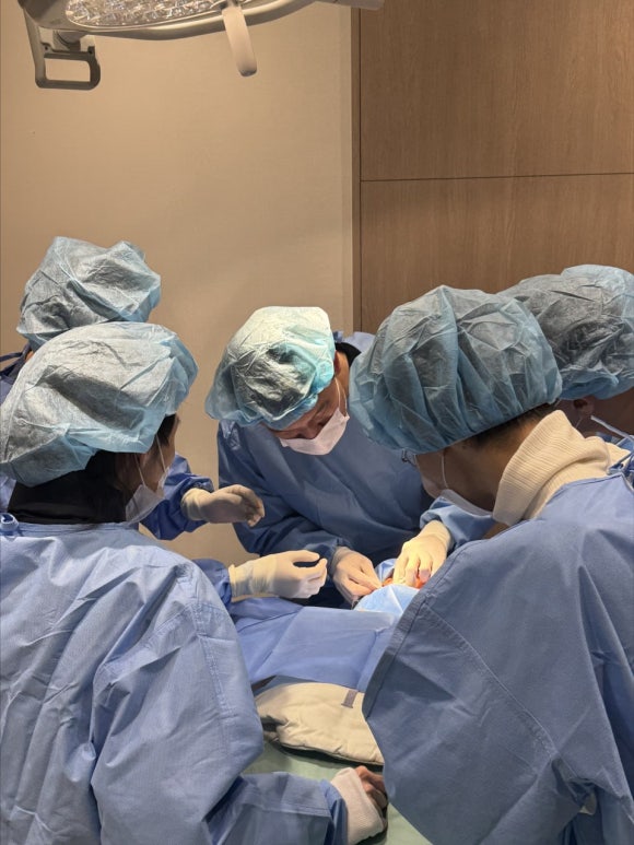 APTOS, a New High-End Thread — I Attended a Hands-On Seminar image 11