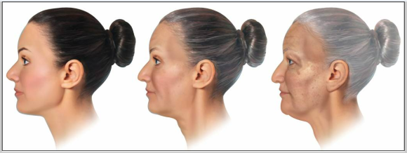 Do Signs of Aging in Appearance Accelerate Sharply in Your 40s and 50s? — JUST’s Solution image 2