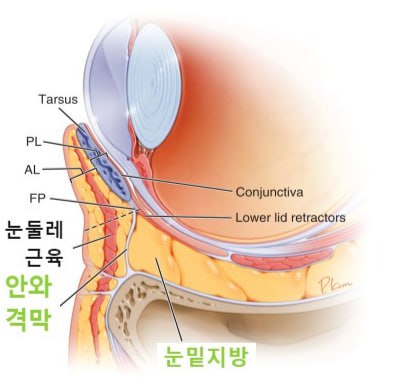 눈밑지방재배치, 0000을 함께 하면 결과가 120% 좋아지는 이유! 확인하세요 관련 이미지 1