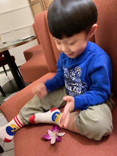 제주도여행호텔추천 그랜드조선제주 힐스위트: 프레스티지힐스위트 (룸, 그랑제이) 관련 이미지 64