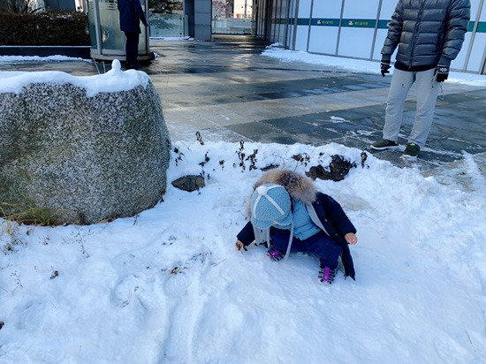 겸둥이 준수의 첫 눈놀이☃️❄️☃️🐥 관련 이미지 5