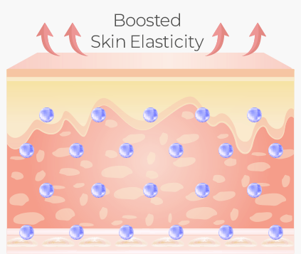 홍대 올리지오, 이것만은 꼭 알고 선택하세요 관련 이미지 5