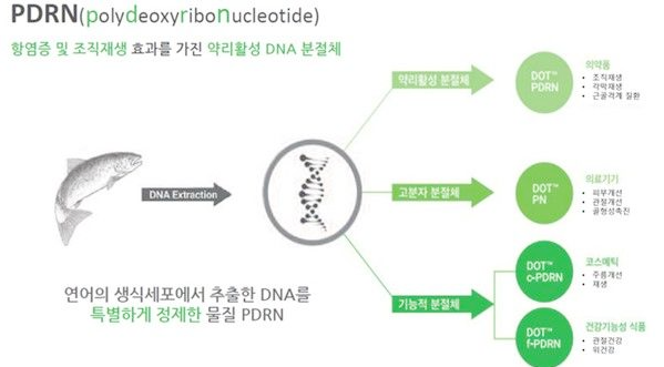 홍대 리쥬란, 정말 피부가 재생되나요? 관련 이미지 4