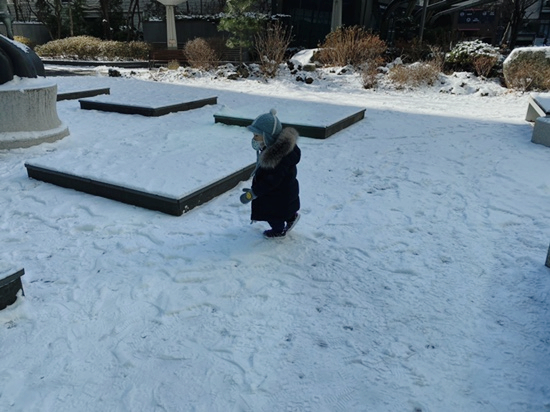 겸둥이 준수의 첫 눈놀이☃️❄️☃️🐥 관련 이미지 33