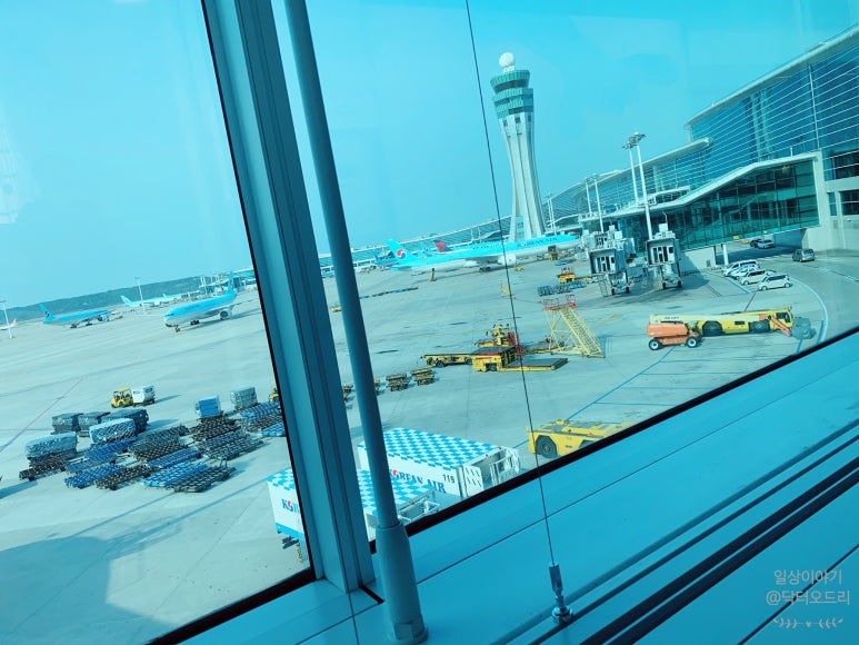 괌 츠바키타워호텔 30개월아기 준수랑 엄마랑아빠랑3박4일 괌여행 🏝️✈️ 관련 이미지 12