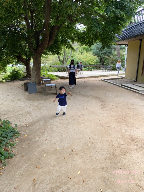 오원장의 육아일기 : 21개월아기랑 가기좋은 근교카페 천안 카페 <교토리> 관련 이미지 23