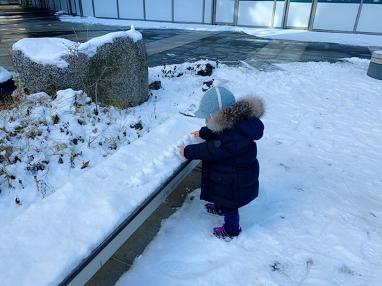 겸둥이 준수의 첫 눈놀이☃️❄️☃️🐥 관련 이미지 7