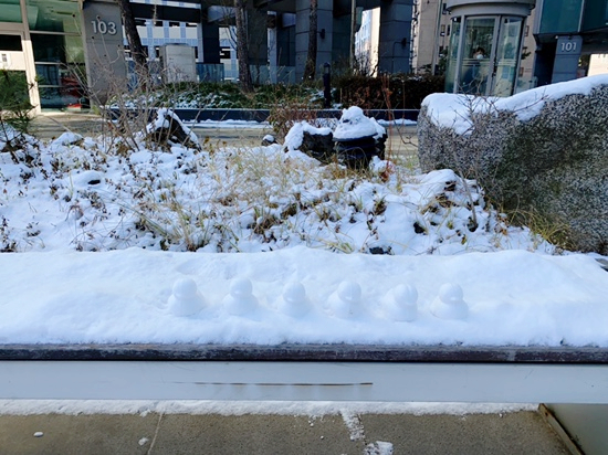 겸둥이 준수의 첫 눈놀이☃️❄️☃️🐥 관련 이미지 6