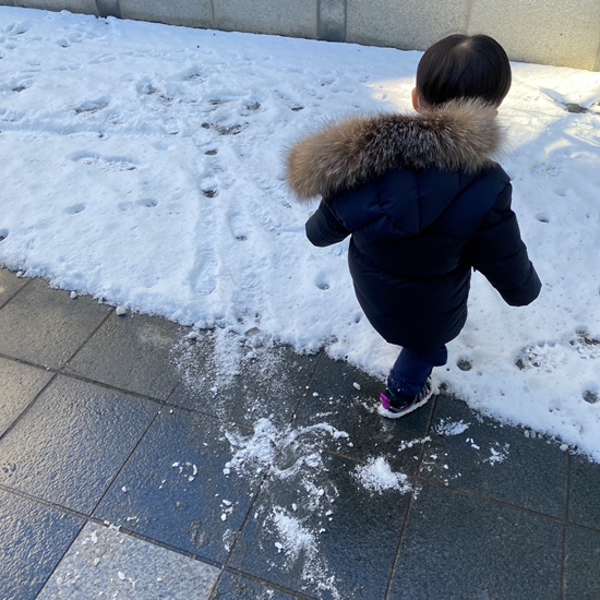 겸둥이 준수의 첫 눈놀이☃️❄️☃️🐥 관련 이미지 35