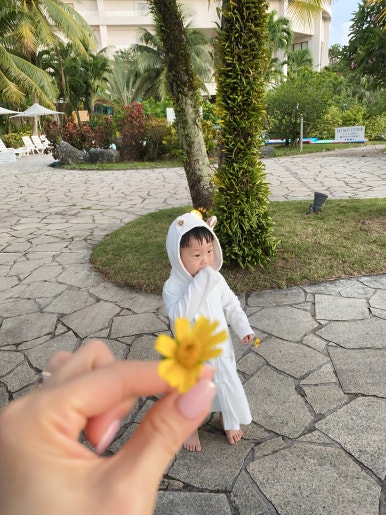 괌 츠바키타워호텔 30개월아기 준수랑 엄마랑아빠랑3박4일 괌여행 🏝️✈️ 관련 이미지 140