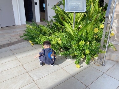 괌 츠바키타워호텔 30개월아기 준수랑 엄마랑아빠랑3박4일 괌여행 🏝️✈️ 관련 이미지 36