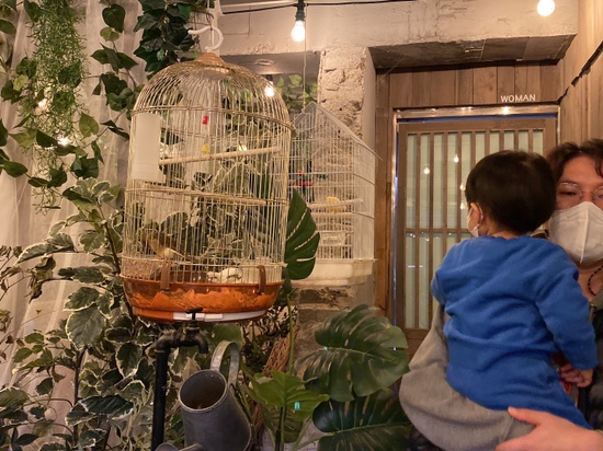 오원장의 육아일기 : 24개월 준수의 주말일상 ❤️ 관련 이미지 38