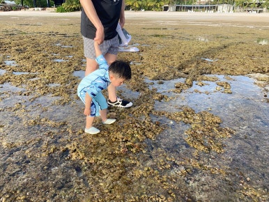 괌 츠바키타워호텔 30개월아기 준수랑 엄마랑아빠랑3박4일 괌여행 🏝️✈️ 관련 이미지 120