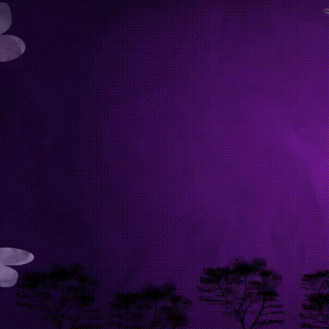 신촌미클리닉 2018할로윈이벤트 신촌피부과 이벤트 관련 이미지 2