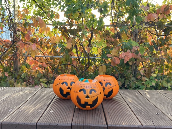 오원장의 육아일기 : 준수랑 두번째 할로윈, 국립중앙박물관나들이 가을미니소풍 관련 이미지 9