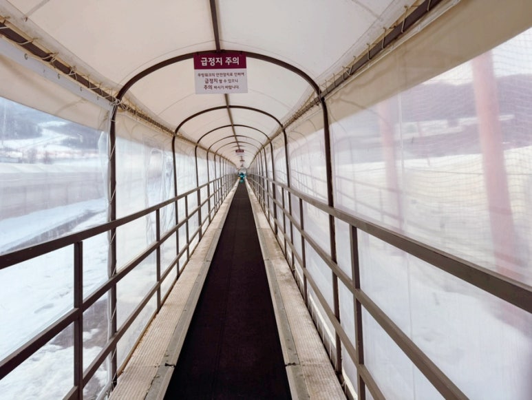 오원장의 육아일기: 눈썰매장 추천 곤지암리조트 ⛄50개월 준수랑 눈썰매장⛄🥰 관련 이미지 20