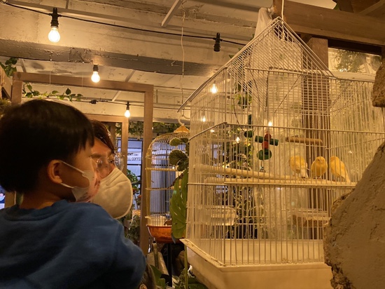 오원장의 육아일기 : 24개월 준수의 주말일상 ❤️ 관련 이미지 10