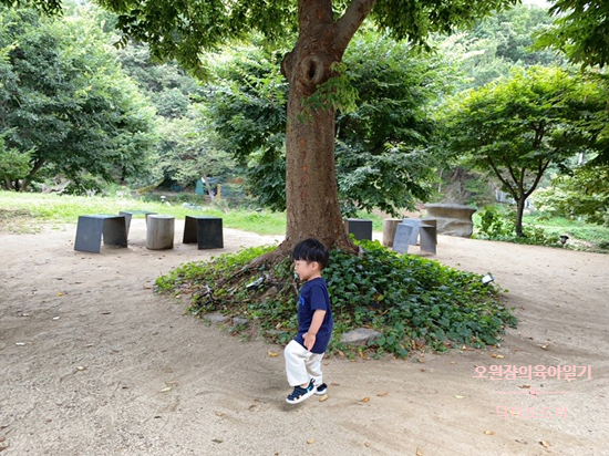 오원장의 육아일기 : 21개월아기랑 가기좋은 근교카페 천안 카페 <교토리> 관련 이미지 18
