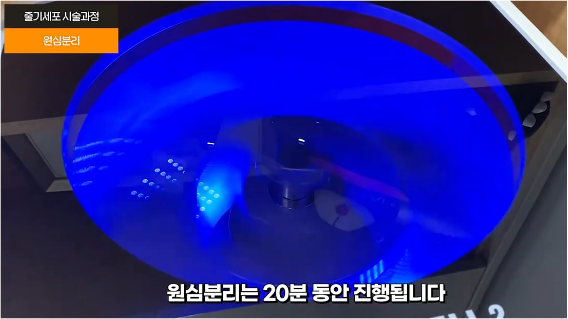 홍대 줄기세포? 핵심만 정리했습니다. 관련 이미지 7