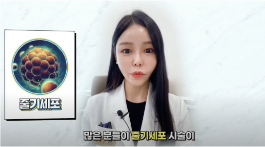 홍대 줄기세포? 핵심만 정리했습니다. 관련 이미지 2