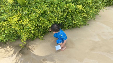 괌 츠바키타워호텔 30개월아기 준수랑 엄마랑아빠랑3박4일 괌여행 🏝️✈️ 관련 이미지 106