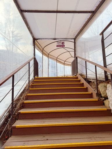 오원장의 육아일기: 눈썰매장 추천 곤지암리조트 ⛄50개월 준수랑 눈썰매장⛄🥰 관련 이미지 15