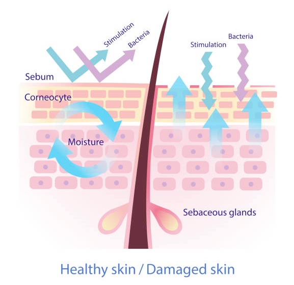 마포구 피부과, 가장 많이 하는 실수? 관련 이미지 6