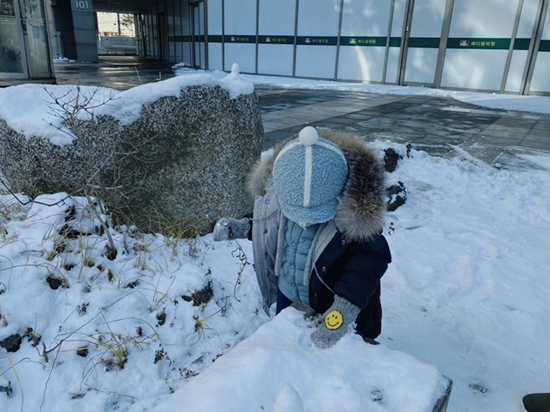 겸둥이 준수의 첫 눈놀이☃️❄️☃️🐥 관련 이미지 27