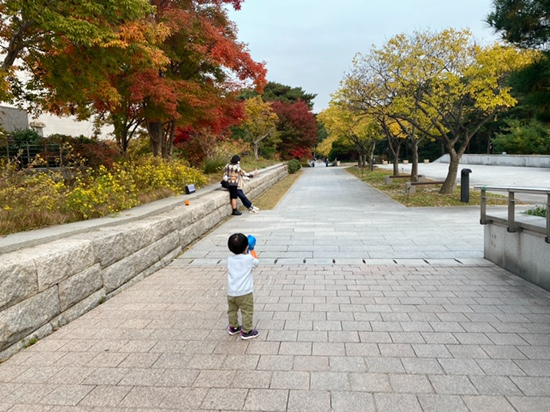 오원장의 육아일기 : 준수랑 두번째 할로윈, 국립중앙박물관나들이 가을미니소풍 관련 이미지 42