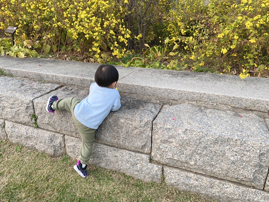 오원장의 육아일기 : 준수랑 두번째 할로윈, 국립중앙박물관나들이 가을미니소풍 관련 이미지 32