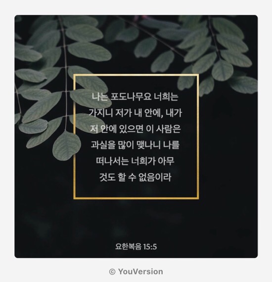Youversion  말씀나눔 : 요한복음15장5절 관련 이미지 1