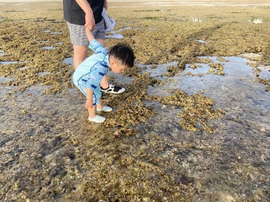 괌 츠바키타워호텔 30개월아기 준수랑 엄마랑아빠랑3박4일 괌여행 🏝️✈️ 관련 이미지 121