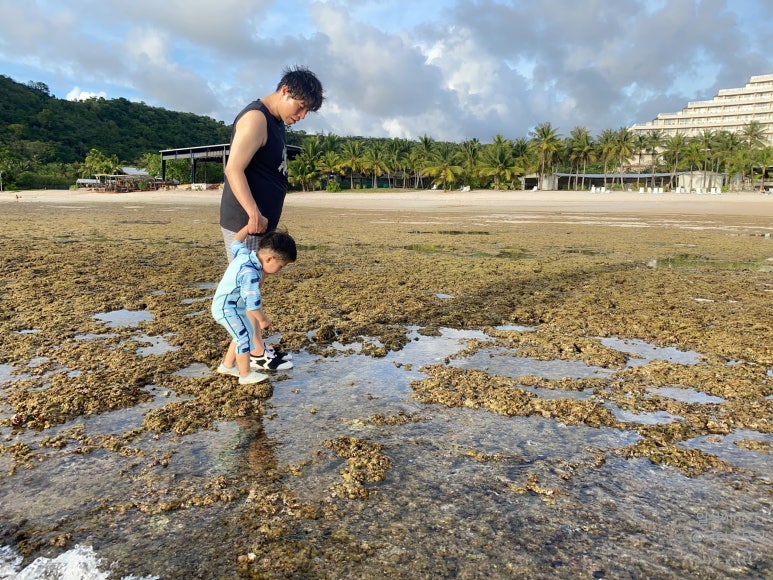 괌 츠바키타워호텔 30개월아기 준수랑 엄마랑아빠랑3박4일 괌여행 🏝️✈️ 관련 이미지 122
