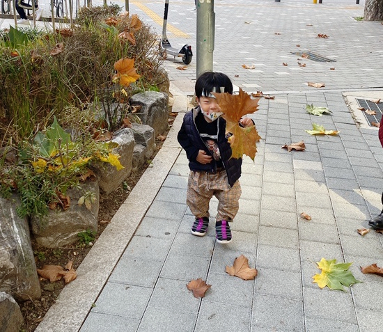 오원장의 육아일기 : 준수 파라인플루엔자증상 39 ~ 40도 고열 😭😭😭 관련 이미지 8