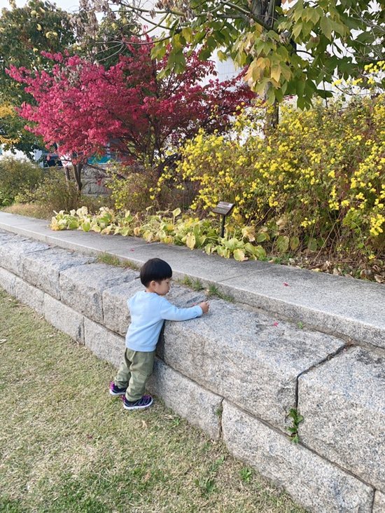 오원장의 육아일기 : 준수랑 두번째 할로윈, 국립중앙박물관나들이 가을미니소풍 관련 이미지 27