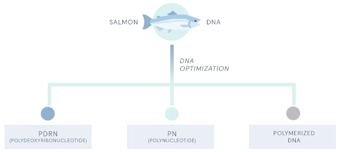 홍대 리쥬란, 이것만은 꼭 알고 결정하세요 관련 이미지 5
