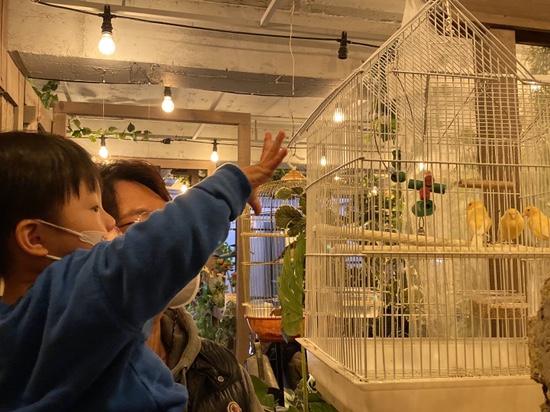 오원장의 육아일기 : 24개월 준수의 주말일상 ❤️ 관련 이미지 9