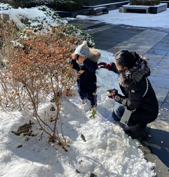 겸둥이 준수의 첫 눈놀이☃️❄️☃️🐥 관련 이미지 34