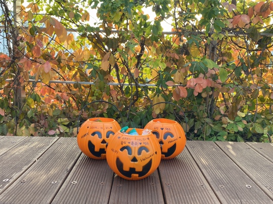 오원장의 육아일기 : 준수랑 두번째 할로윈, 국립중앙박물관나들이 가을미니소풍 관련 이미지 8