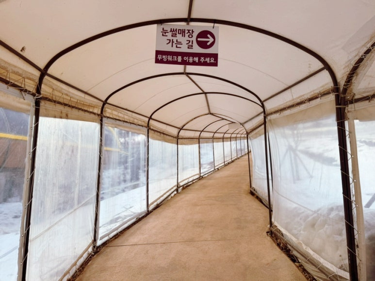 오원장의 육아일기: 눈썰매장 추천 곤지암리조트 ⛄50개월 준수랑 눈썰매장⛄🥰 관련 이미지 16