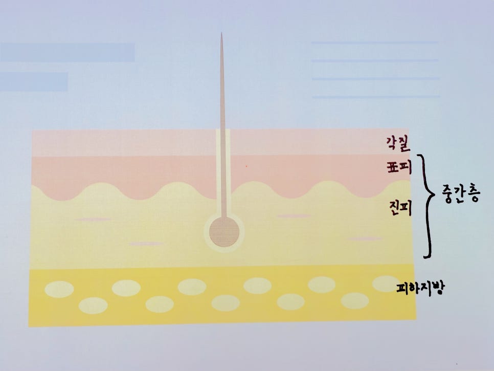 리프팅 하나에도 의사의 생각을 담아야하는 이유. 릴리브의원 관련 이미지 5