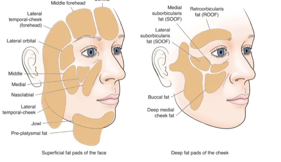 울쎄라 600샷 추천 타입 300샷과 비교 관련 이미지 3