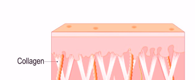 세르프 600샷 시술 전후 차이 가격대까지 정리 관련 이미지 6