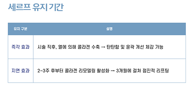세르프 리프팅의 효과와 시술주기, 유지기간까지 총정리. 관련 이미지 6