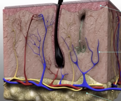 리주란 통증을 최소로 맞는 방법 관련 이미지 3