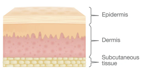 턱스킨보톡스 얼굴스킨보톡스 차이 관련 이미지 2