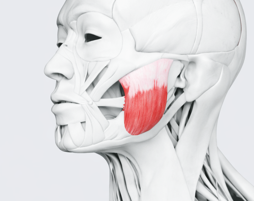 턱 보톡스 사각턱 턱근육발달 의사가 말하는 보톡스 포인트 관련 이미지 4