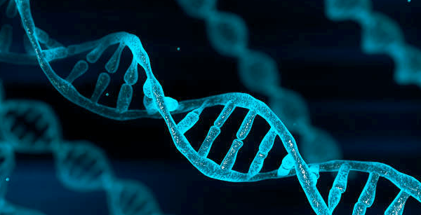 리쥬란힐러 효과 좋은 건 알죠? 리쥬란 시술 당일 엠보 관련 이미지 1