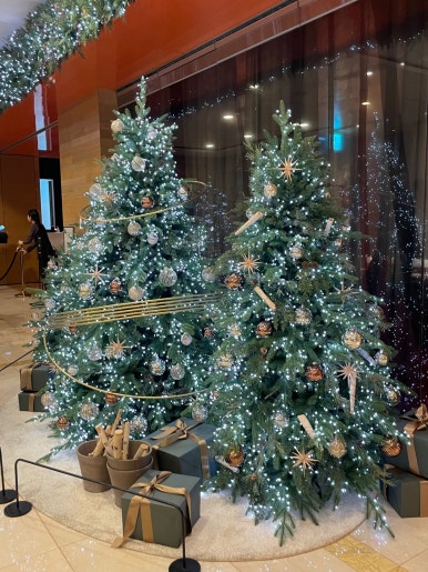 [롯데호텔서울 맛집] 라세느 - 12월 회식 장소 추천. 새로운 트레비클럽 다이닝 할인 받아 싸게먹기. 메뉴 공략!! 롯데다이아몬드카드 발렛주차. 관련 이미지 5